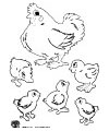 Hen with chicks rhyme printables