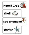 hermit crab word wall