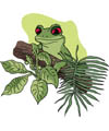 rainforest theme