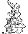 rabbit and easter bunny coloring