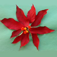 Poinsettia craft