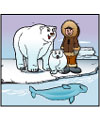 polar bear activities
