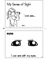 Five senses sight booklet