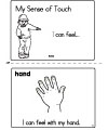 Preschool five senses, sense of touch activities